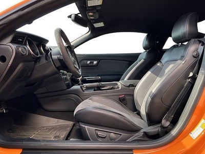 2019 Ford Mustang Shelby GT350 Fastback