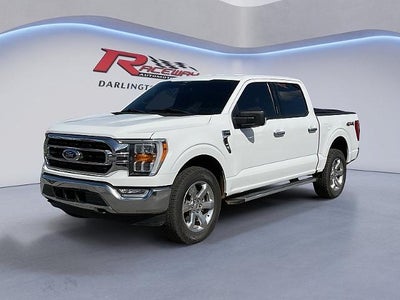 2023 Ford F-150 XL 4WD SuperCrew 5.5' Box